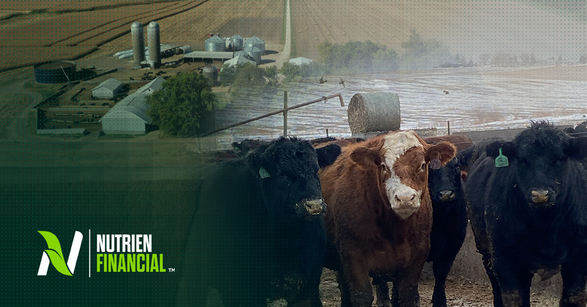 Generations of Grit: Financial Wisdom from the Howe Family Farm